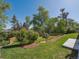 Serene backyard offers a verdant lawn framed by mature trees, enhancing privacy and natural beauty at 11569 W 27Th Ave, Lakewood, CO 80215