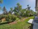 Well-maintained backyard features a beautiful lawn and plenty of mature trees providing ample shade at 11569 W 27Th Ave, Lakewood, CO 80215