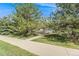 Lush front yard featuring a grassy lawn, mature trees, and a sidewalk leading to the home at 2428 Concord Cir, Lafayette, CO 80026