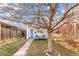 Landscaped front yard with mature tree and walkway at 4508 W 34Th Ave, Denver, CO 80212