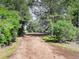 Long, tree-lined driveway leading to a charming home nestled in a serene, wooded setting at 14650 Tejon St, Broomfield, CO 80023