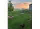 A fenced in backyard with new trees, grass, and landscaping at 2996 Savage Rd, Elizabeth, CO 80107