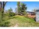 Expansive backyard with lush green grass and mature trees, creating a peaceful outdoor retreat at 7413 S Tamarac St, Centennial, CO 80112