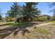 View of a charming home's front yard with trees, landscaping, and a fence at 2000 S Columbine St, Denver, CO 80210