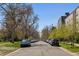 Peaceful street lined with parked cars and shade trees in front of apartments at 2000 S Columbine St, Denver, CO 80210