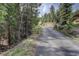Scenic driveway winding through a lush, green forest leading up to the property at 1353 Elk Valley Dr, Evergreen, CO 80439