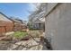 A backyard with raised garden beds, brick fence, and potted plants in the corner at 339 Delaware St, Denver, CO 80223