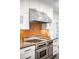 Close-up of a gourmet kitchen featuring a stainless steel range with custom tile backsplash and white cabinetry at 1448 E Maplewood Ct, Centennial, CO 80121