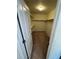 Spacious walk-in closet with ample shelving for organization and storage at 914 Peach Leaf Ln, Elizabeth, CO 80107