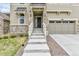 Close-up of the front door with stone accents, concrete steps, white railing, and well-kept landscaping at 22472 E Narrowleaf Cir, Aurora, CO 80016