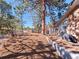 Large backyard with a patio, grill and lovely trees at 2308 Hearth Dr # 36, Evergreen, CO 80439