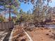 Private backyard features mature trees and natural surroundings at 2308 Hearth Dr # 36, Evergreen, CO 80439