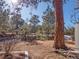 Scenic backyard with large trees and privacy at 2308 Hearth Dr # 36, Evergreen, CO 80439