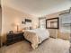 Bright main bedroom featuring plush carpeting, soothing wall colors, and a large mirror over the dresser at 285 N Holcomb St, Castle Rock, CO 80104