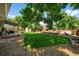 Expansive backyard featuring lush green grass, mature trees, a storage shed, and garden beds for outdoor enjoyment at 7486 S Washington St, Centennial, CO 80122
