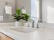 Bright bathroom featuring white countertops, modern faucet fixtures, and a decorative plant at 8855 E 55Th Ave, Denver, CO 80238
