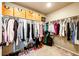 Walk-in closet with shelving and racks for optimal organization at 2177 Shadow Creek Dr, Castle Rock, CO 80104