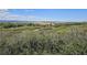Beautiful single-Gathering home on a large lot surrounded by shrubbery with rolling hills in the background at 1272 Nightfire Cir, Castle Rock, CO 80104