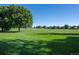 A verdant green space is lined with mature trees and manicured green grass near single Gathering homes at 5481 E 117Th Ave, Thornton, CO 80233