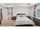 Bright main bedroom features carpeting, tray ceiling and colorful curtains at 1143 Williams Loop, Elizabeth, CO 80107