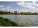 Scenic lake view with lush green reeds in the foreground, building and trees in the background at 534 S Pearl St, Denver, CO 80209