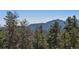 Scenic mountain views with evergreen trees create a picturesque backdrop at 319 Camino Bosque, Boulder, CO 80302