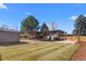 Large backyard with a well-maintained lawn, shed, and a full fence providing privacy at 900 S Webster St, Lakewood, CO 80226