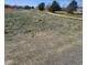 A grassy lot in a beautiful neighborhood, perfect for building your dream home at 12807 Garfield Cir, Thornton, CO 80241