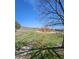 Community park with large grassy area and landscaping at 12807 Garfield Cir, Thornton, CO 80241