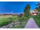 Beautiful home with a large backyard, adjacent to a green field and walking path, under a starlit sky at 12350 Turquoise Terrace St, Castle Pines, CO 80108