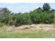 Landscaped backyard featuring mature trees, native shrubs, and natural rock outcroppings at 7692 Weaver Cir, Castle Rock, CO 80104