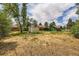 Spacious backyard showing green house, shed, trees and sky at 4730 S Huron St, Englewood, CO 80110