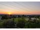Expansive backyard with lush greenery, mature trees, and stunning views, perfect for outdoor enjoyment at 7949 S Elk Way, Aurora, CO 80016