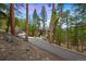 Exterior view of a home nestled among tall pine trees with a paved driveway leading up to the residence at 3816 Spring Valley Trl, Evergreen, CO 80439