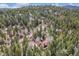 Overhead view shows a charming cabin with complementary detached garage, both set among a canopy of trees at 9530 Aspen Ln, Conifer, CO 80433
