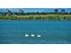 Beautiful lake view featuring graceful swans, sailboats, and the scenic skyline beyond at 2145 S Ider Way, Aurora, CO 80018