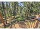 Beautiful backyard featuring mature trees and a wood fence at 7753 Red Fox Dr, Evergreen, CO 80439