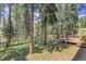 Secluded backyard surrounded by towering pines with direct access to the wooden outdoor deck area at 7753 Red Fox Dr, Evergreen, CO 80439