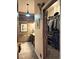 Updated bathroom with unique wood plank accent wall, modern lighting, and open walk-in closet at 83 Wilderness Cornerstone Rd, Evergreen, CO 80439