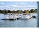 Swan boats at City Park Golf Course, Colorado at 2649 N Cook St, Denver, CO 80205