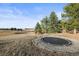 Expansive backyard featuring an in-ground trampoline, lush landscaping, and mature trees, perfect for outdoor activities at 4749 Starfire Cir, Castle Rock, CO 80104