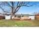 The backyard offers a large deck and mature tree for shade, perfect for outdoor entertaining and relaxation at 2570 Bell Ct, Lakewood, CO 80215