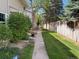 Green grass surrounds a sidewalk leading to the homes with mature trees at 1967 S Oakland Way, Aurora, CO 80014