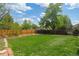 Lush green backyard with a well-maintained lawn and privacy fence at 1590 S Macon St, Aurora, CO 80012