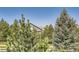 View of neighborhood homes and surrounding trees behind a white fence at 10529 Dacre Pl, Lone Tree, CO 80124