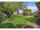 Large backyard with mature tree provides ample shade over green lawn and garden at 395 Zephyr St, Lakewood, CO 80226
