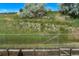 Scenic view from the backyard with a fence, lush greenery, and blue skies at 5719 S Lowell Blvd, Littleton, CO 80123