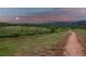 Picturesque community walking path along the lake surrounded by lush greenery at 2891 Waterfront Dr, Monument, CO 80132