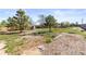 Backyard with multiple trees, green grass, and a mulched section, with a storage shed in the background at 1853 S Zeno Way, Aurora, CO 80017