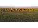 This ranch property has a large barn and a mountain view at 4075 Merada Ct, Franktown, CO 80116